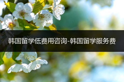 韩国留学低费用咨询-韩国留学服务费