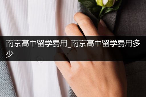 南京高中留学费用_南京高中留学费用多少