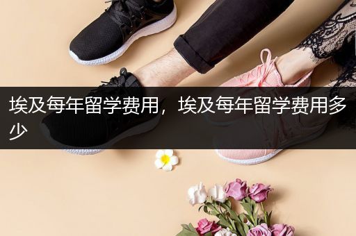 埃及每年留学费用，埃及每年留学费用多少