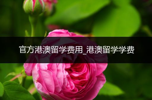 官方港澳留学费用_港澳留学学费