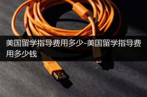 美国留学指导费用多少-美国留学指导费用多少钱
