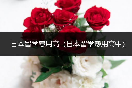 日本留学费用高（日本留学费用高中）