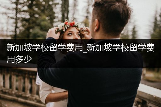 新加坡学校留学费用_新加坡学校留学费用多少