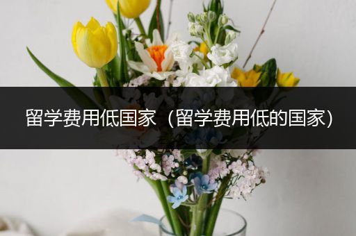留学费用低国家（留学费用低的国家）