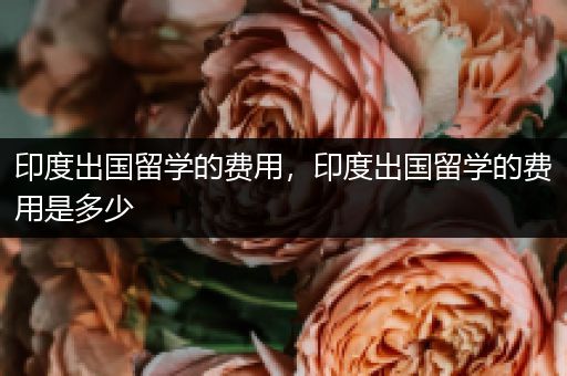 印度出国留学的费用，印度出国留学的费用是多少