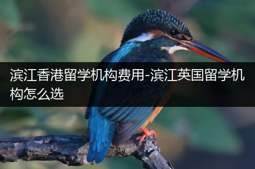 滨江香港留学机构费用-滨江英国留学机构怎么选