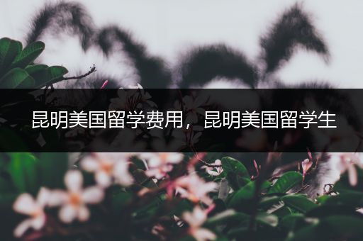 昆明美国留学费用，昆明美国留学生