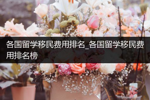各国留学移民费用排名_各国留学移民费用排名榜