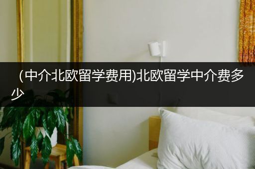 （中介北欧留学费用)北欧留学中介费多少