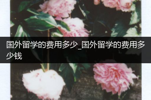 国外留学的费用多少_国外留学的费用多少钱