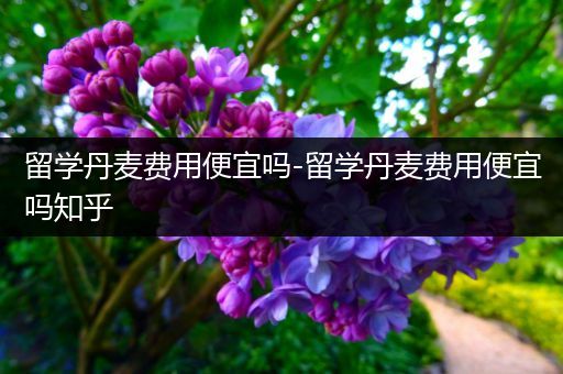 留学丹麦费用便宜吗-留学丹麦费用便宜吗知乎
