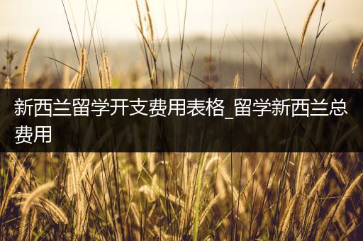 新西兰留学开支费用表格_留学新西兰总费用