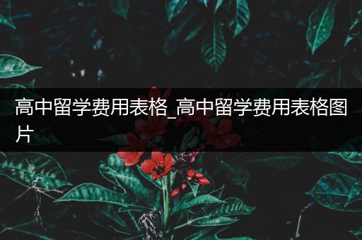 高中留学费用表格_高中留学费用表格图片