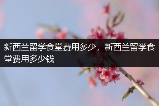 新西兰留学食堂费用多少，新西兰留学食堂费用多少钱