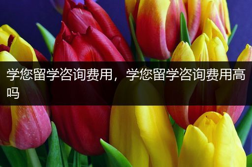 学您留学咨询费用，学您留学咨询费用高吗
