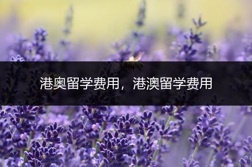 港奥留学费用，港澳留学费用