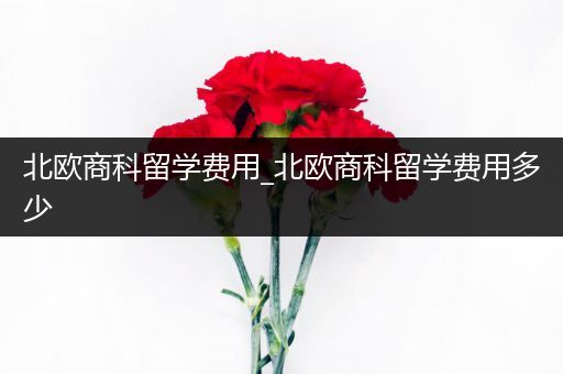 北欧商科留学费用_北欧商科留学费用多少