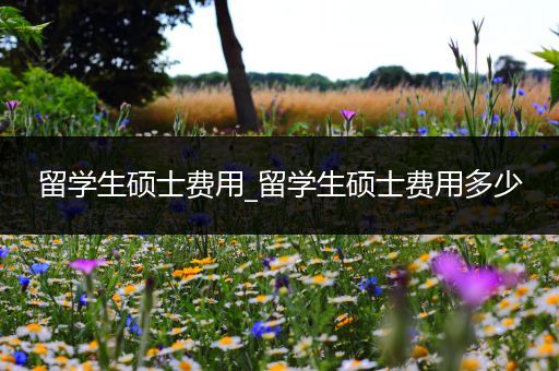 留学生硕士费用_留学生硕士费用多少