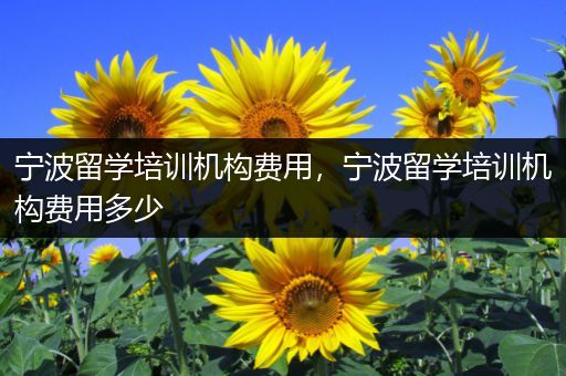 宁波留学培训机构费用，宁波留学培训机构费用多少
