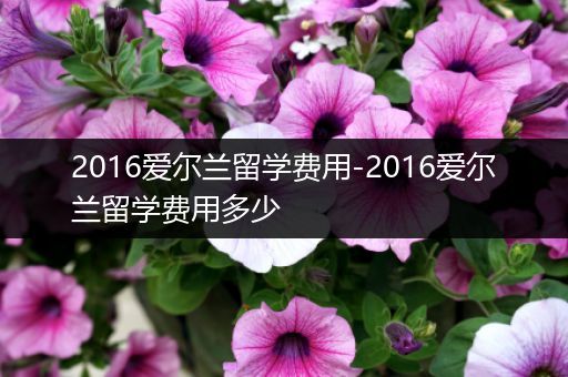 2016爱尔兰留学费用-2016爱尔兰留学费用多少