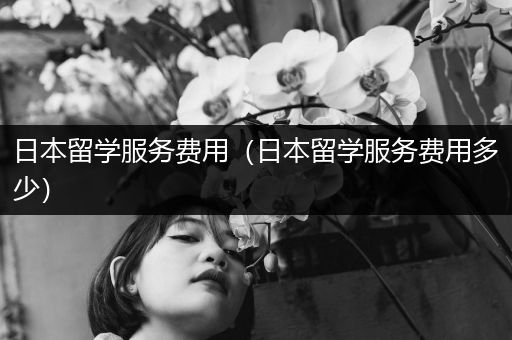 日本留学服务费用（日本留学服务费用多少）