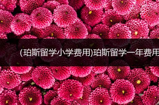 （珀斯留学小学费用)珀斯留学一年费用