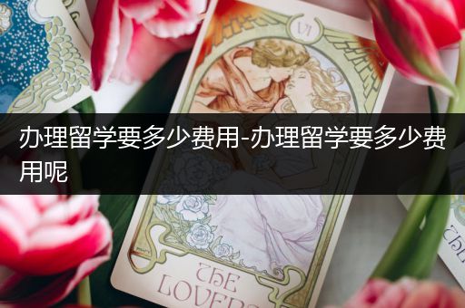 办理留学要多少费用-办理留学要多少费用呢