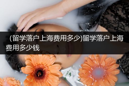（留学落户上海费用多少)留学落户上海费用多少钱