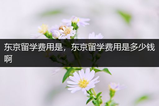 东京留学费用是，东京留学费用是多少钱啊