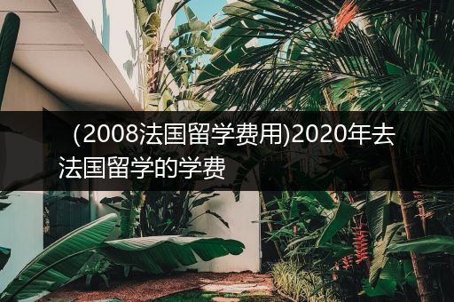 （2008法国留学费用)2020年去法国留学的学费