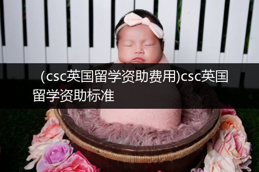 （csc英国留学资助费用)csc英国留学资助标准