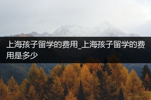 上海孩子留学的费用_上海孩子留学的费用是多少