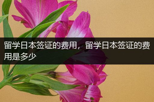 留学日本签证的费用，留学日本签证的费用是多少