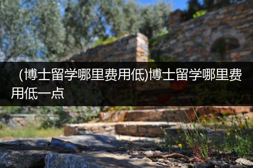 （博士留学哪里费用低)博士留学哪里费用低一点