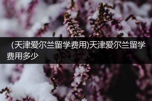 （天津爱尔兰留学费用)天津爱尔兰留学费用多少