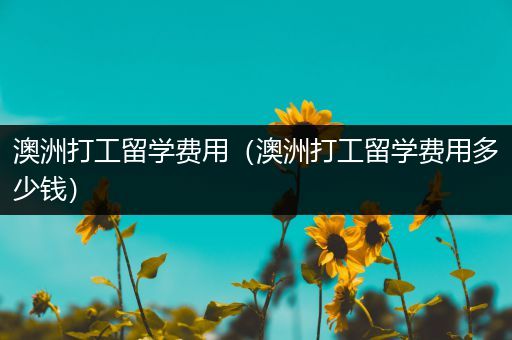 澳洲打工留学费用（澳洲打工留学费用多少钱）