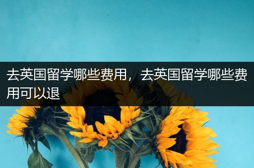 去英国留学哪些费用，去英国留学哪些费用可以退
