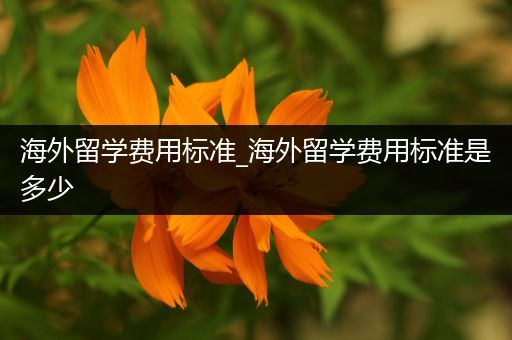 海外留学费用标准_海外留学费用标准是多少