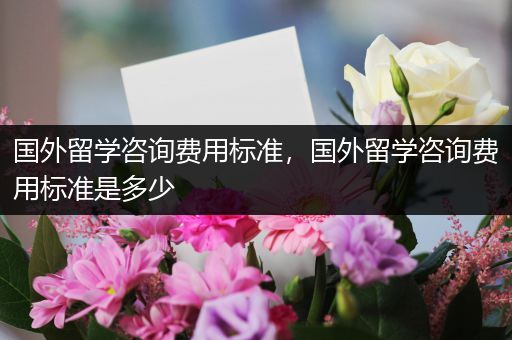 国外留学咨询费用标准，国外留学咨询费用标准是多少