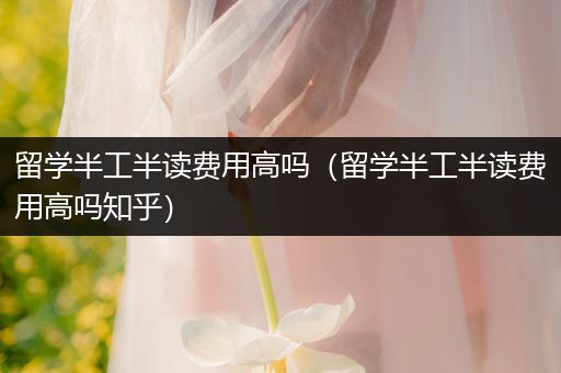 留学半工半读费用高吗（留学半工半读费用高吗知乎）
