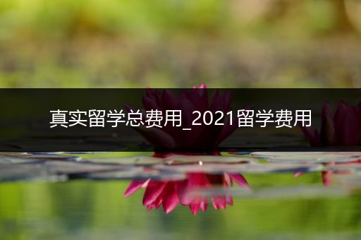 真实留学总费用_2021留学费用