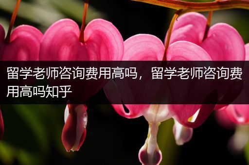 留学老师咨询费用高吗，留学老师咨询费用高吗知乎