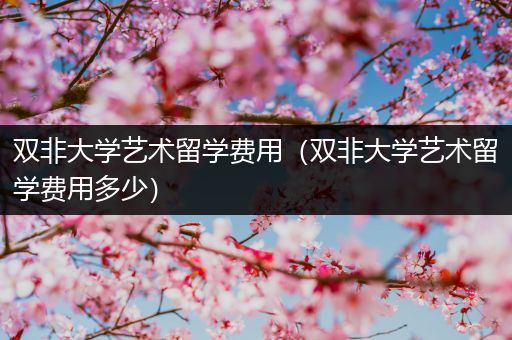 双非大学艺术留学费用（双非大学艺术留学费用多少）