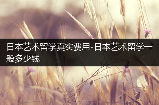 日本艺术留学真实费用-日本艺术留学一般多少钱