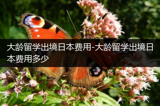 大龄留学出境日本费用-大龄留学出境日本费用多少