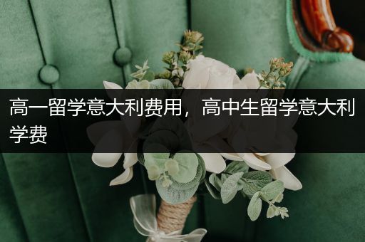 高一留学意大利费用，高中生留学意大利学费