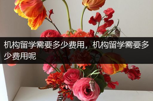 机构留学需要多少费用，机构留学需要多少费用呢