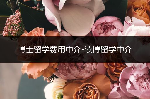 博士留学费用中介-读博留学中介