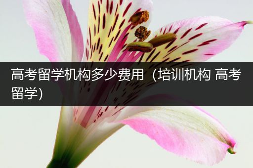 高考留学机构多少费用（培训机构 高考留学）