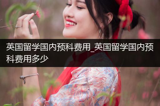 英国留学国内预科费用_英国留学国内预科费用多少